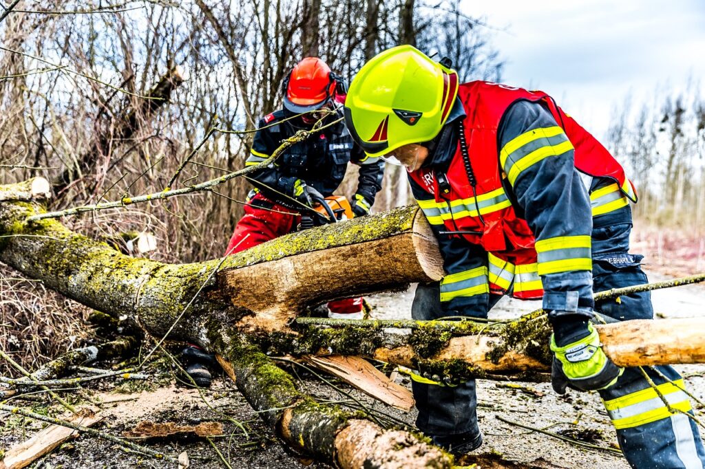 Sturmschaden aufräumen Ahrensburg
